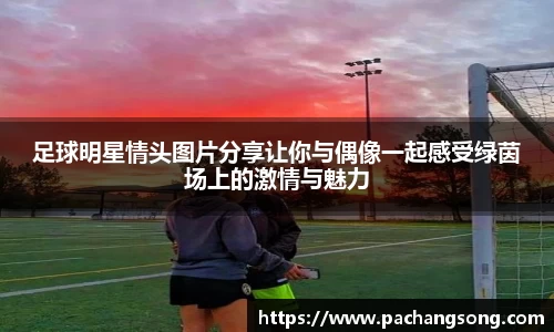 足球明星情头图片分享让你与偶像一起感受绿茵场上的激情与魅力